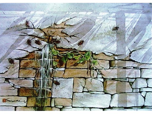 Wall