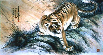  Tiger