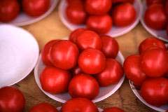 tomatoes.jpg (6932 oCg)