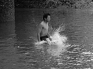 dive2.jpg