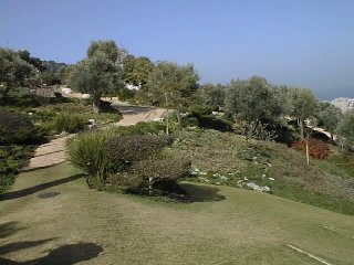 Lower Terraces