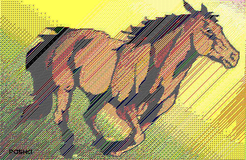 'CAMEO HORSE' by Pasha
