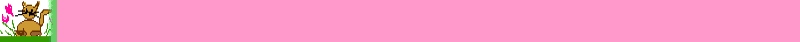 kittyborder.jpg"