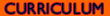 curriculum1.gif (997 bytes)