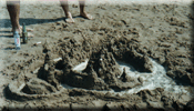 our sandcastle at zamfort beach