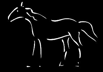 Horse on Drugs?