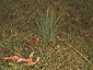 dec2001_14