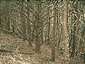 feb2002_21