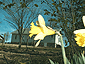 march2002_01