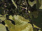 may_june2003_15