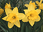 april2001_02