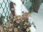 jan2001_13