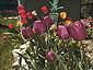 may2001_09