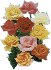 Beautiful Flowers