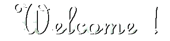 Welcome !