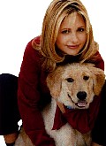 dogad.jpg