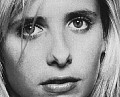 waycloseup3.jpg