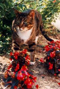 [Kitty]