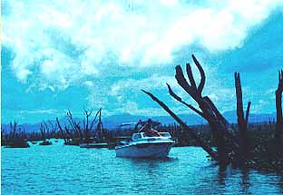 Kariba
