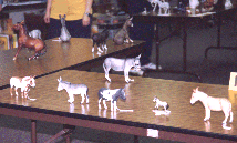 Longear entries at Liveshow