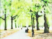 thumbnail picture