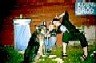 Doggie! Vov!