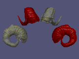 Ram's Horn