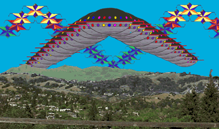 Placement Perspective project