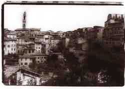 siena