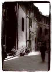 siena