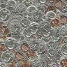 coins.jpg 96x96