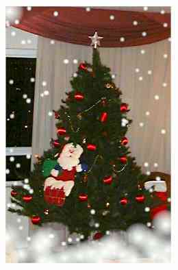 christmastree.jpg (9750 oCg)