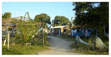house.jpg (30563 oCg)
