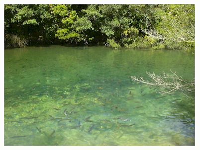 lake.jpg (31819 oCg)