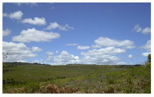 view.jpg (25621 oCg)