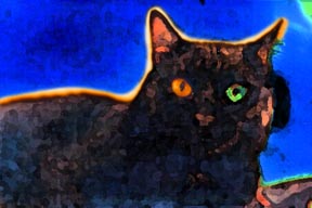 hellcat of indiana