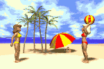 volei_praia.gif (38633 bytes)