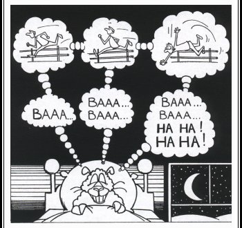 Sheep counting man