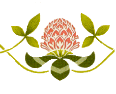 Clover 2
