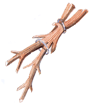 twig