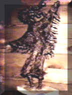 shawl dancer.jpg (46782 bytes)