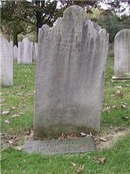 Wm W Green