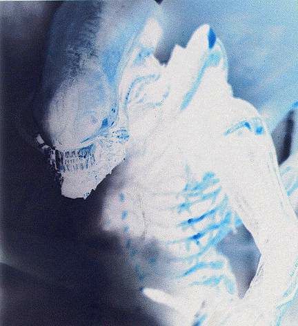 alien&iacute;gena