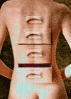 r.gif