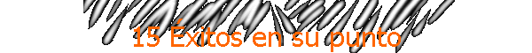 15 �xitos en su punto