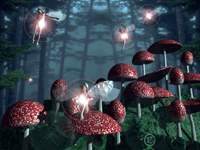 funghi.jpg (51242 byte)