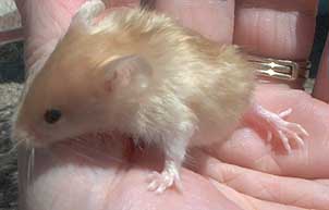 one of the babies