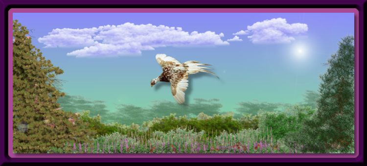 Into the Heather