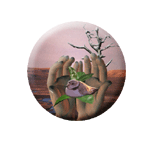LiFE Award