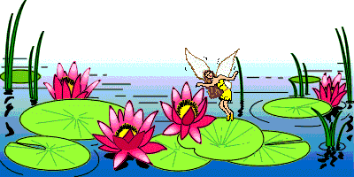 Water Lilies & Fairy